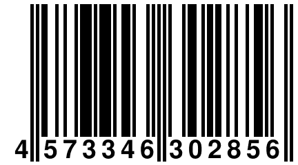 4 573346 302856