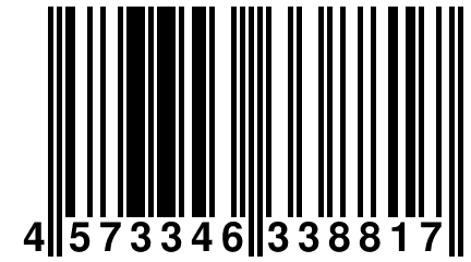 4 573346 338817