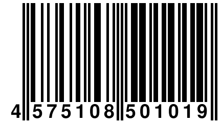 4 575108 501019