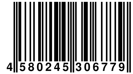 4 580245 306779