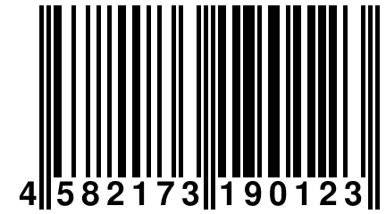 4 582173 190123