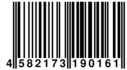 4 582173 190161