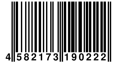 4 582173 190222