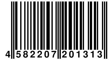 4 582207 201313