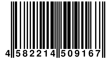 4 582214 509167