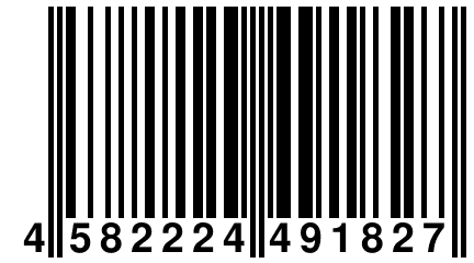 4 582224 491827