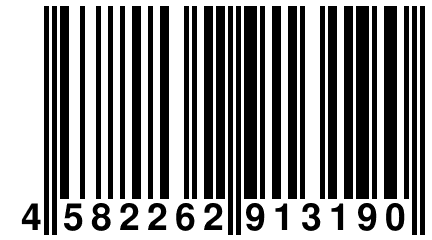 4 582262 913190