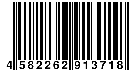 4 582262 913718