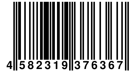 4 582319 376367