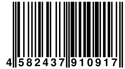 4 582437 910917