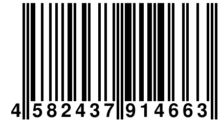 4 582437 914663