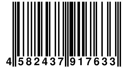 4 582437 917633