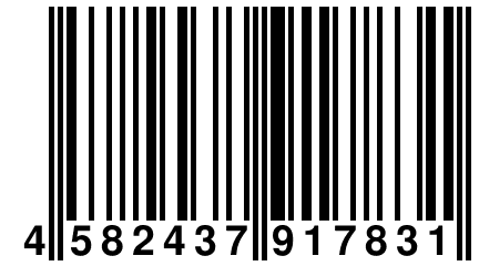 4 582437 917831