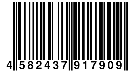 4 582437 917909