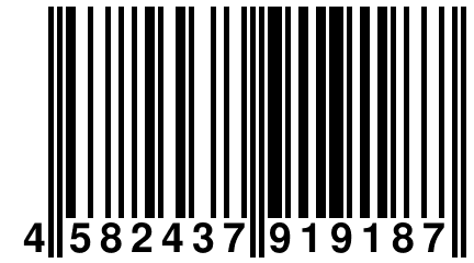 4 582437 919187