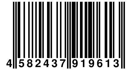 4 582437 919613