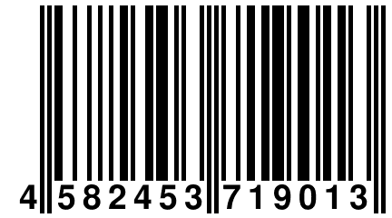 4 582453 719013