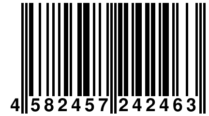 4 582457 242463