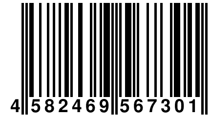 4 582469 567301