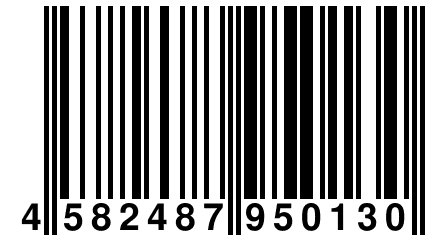 4 582487 950130