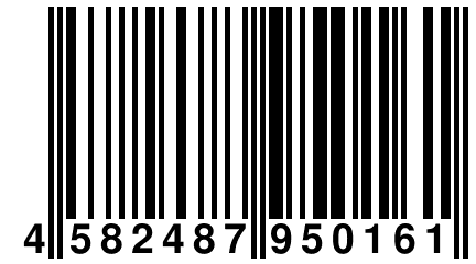 4 582487 950161