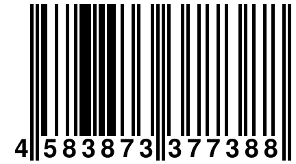 4 583873 377388