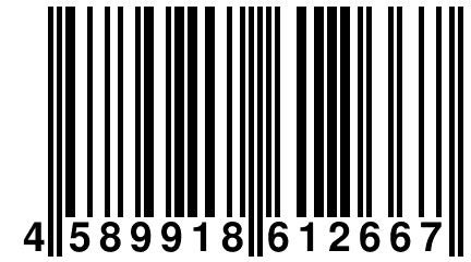 4 589918 612667