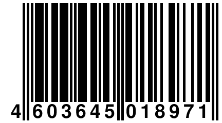 4 603645 018971