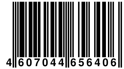 4 607044 656406