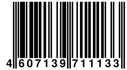 4 607139 711133