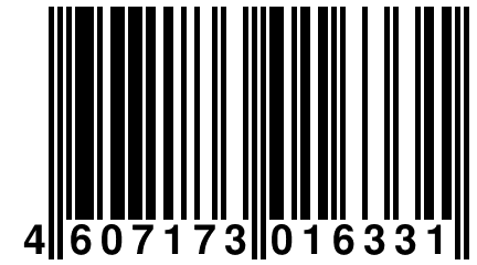 4 607173 016331