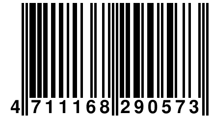 4 711168 290573