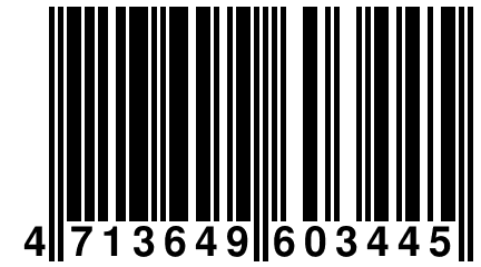 4 713649 603445