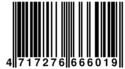 4 717276 666019