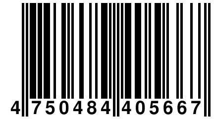 4 750484 405667