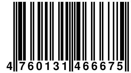 4 760131 466675