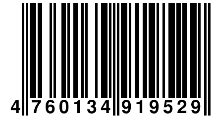 4 760134 919529