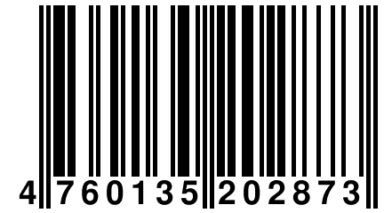 4 760135 202873