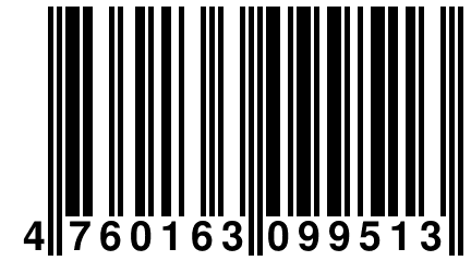 4 760163 099513