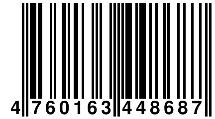 4 760163 448687