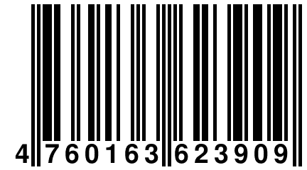 4 760163 623909