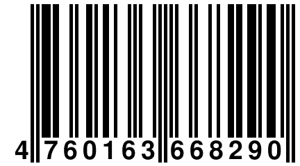 4 760163 668290