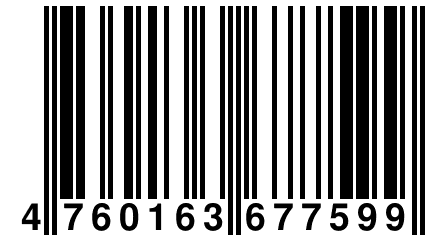 4 760163 677599