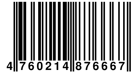 4 760214 876667