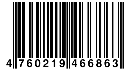 4 760219 466863