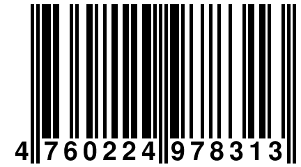 4 760224 978313