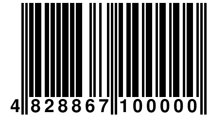 4 828867 100000