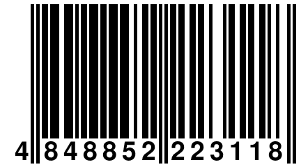 4 848852 223118