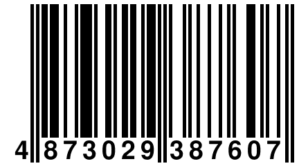 4 873029 387607