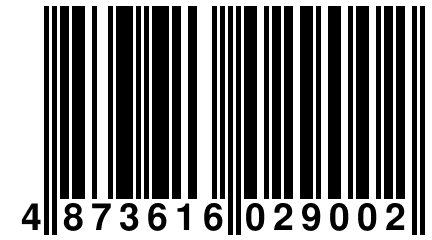 4 873616 029002